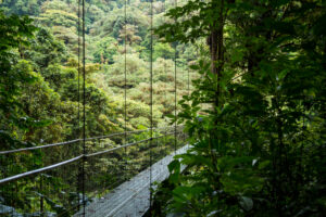 10 jours au Costa Rica