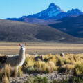 Découvrir la Bolivie