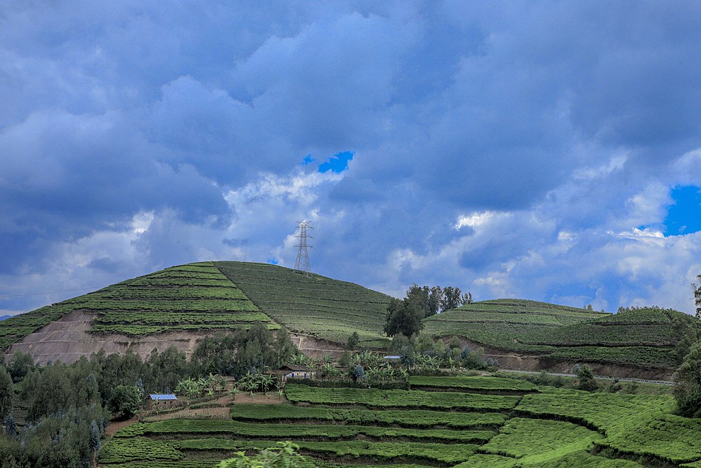 A la découverte du Rwanda