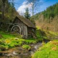 Découvrir la beauté de la Forêt Noire en Allemagne