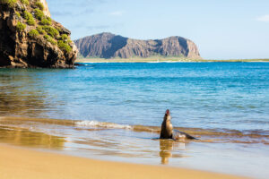 Île de San Cristobal aux îles Galapagos