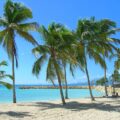 Plage de Sainte-Anne en Guadeloupe