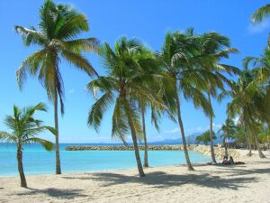 Plage de Sainte-Anne en Guadeloupe