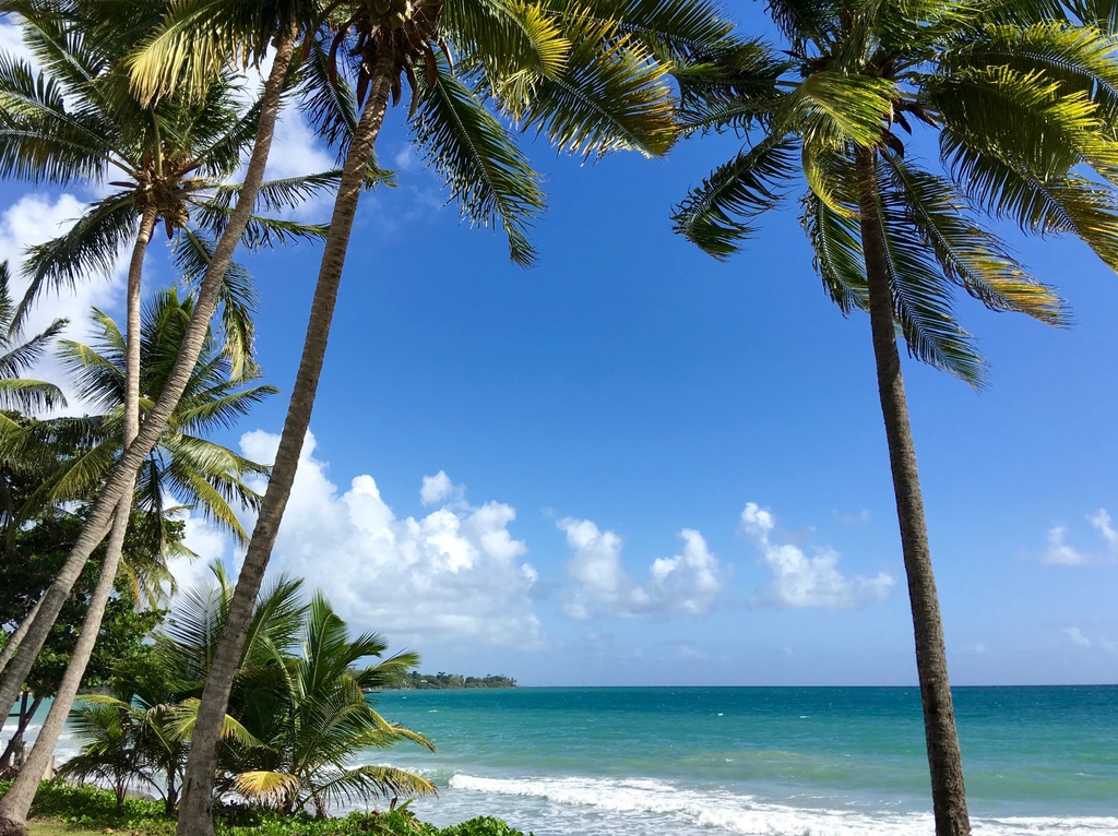 Voyage en Martinique