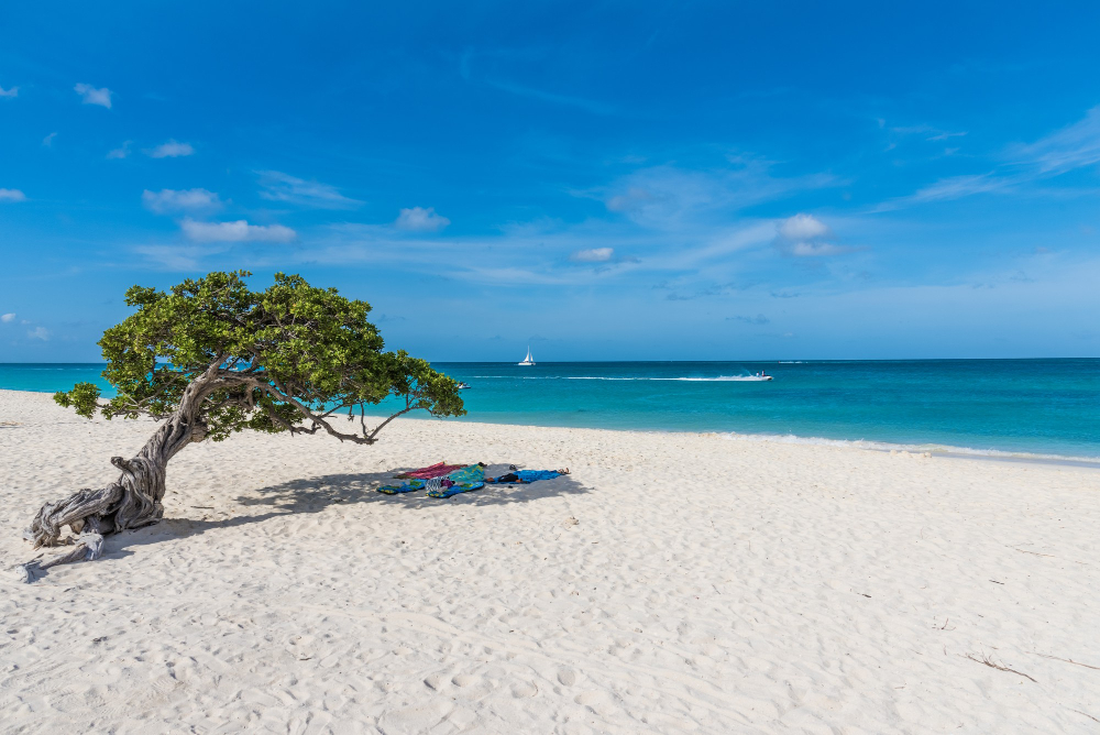 Voyage sur l'île caribéenne d'Aruba