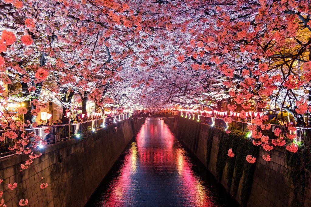 Visiter le Japon